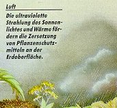 Bildausschnitt und Text Luft: oec11.jpg (5242 Byte)